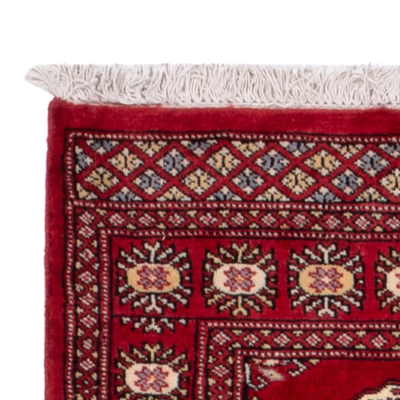Pakistan Teppich 77x246cm - Orientteppich - rot