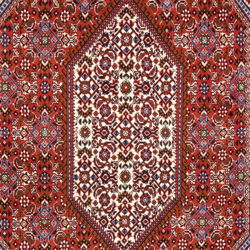 Bidjar - Bukan Teppich 110x182cm - Perserteppich - rot