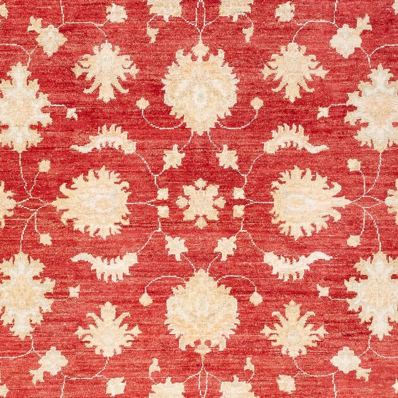 Ziegler Teppich - 175 x 240 cm - rot