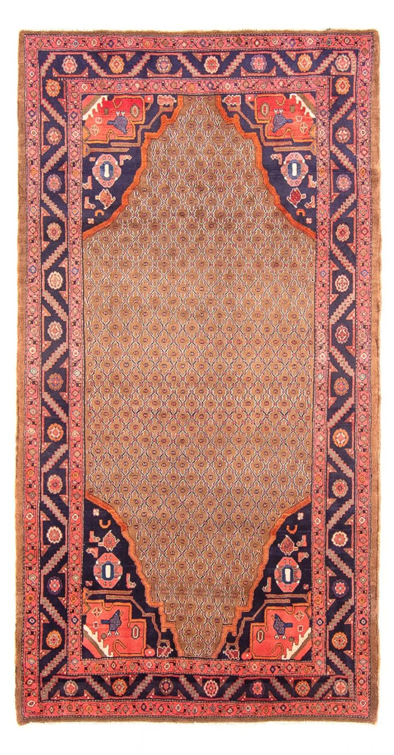 Kolyai Teppich 150x290cm - Perserteppich - mehrfarbig