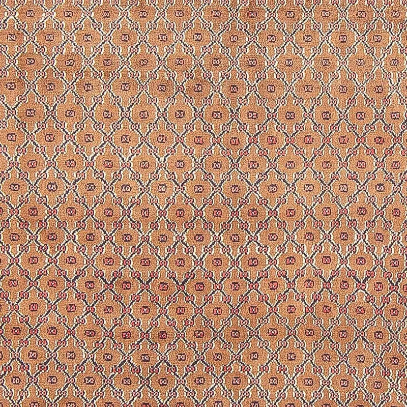 Kolyai Teppich 150x290cm - Perserteppich - mehrfarbig