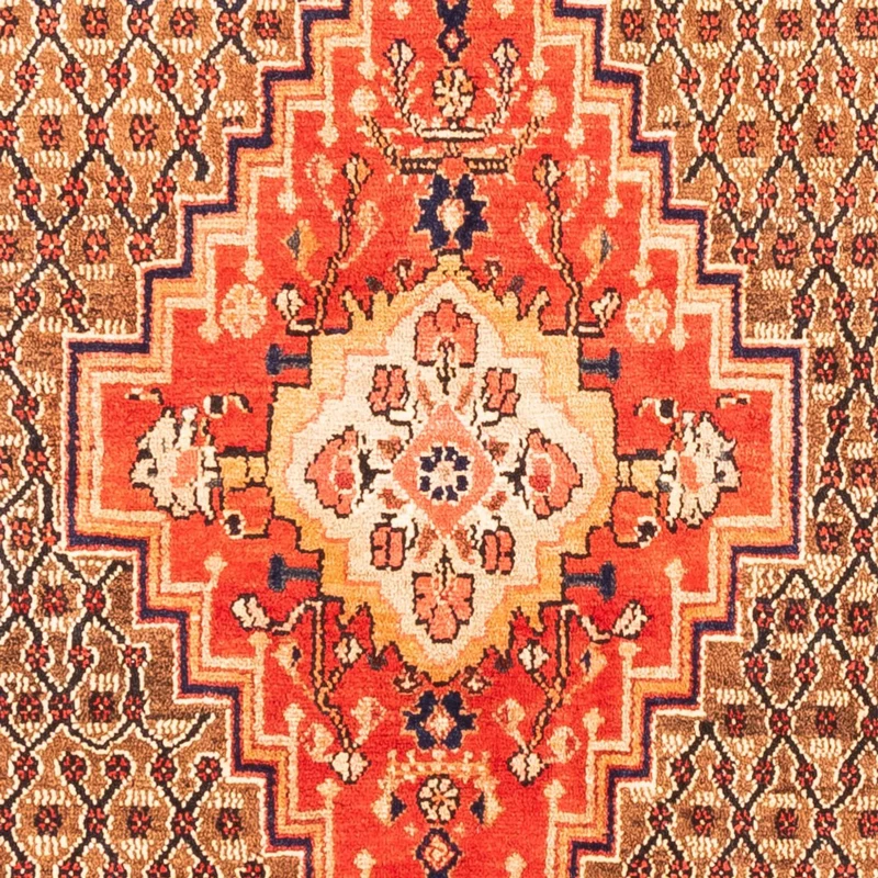 Kolyai Teppich 157x265cm - Perserteppich - rot