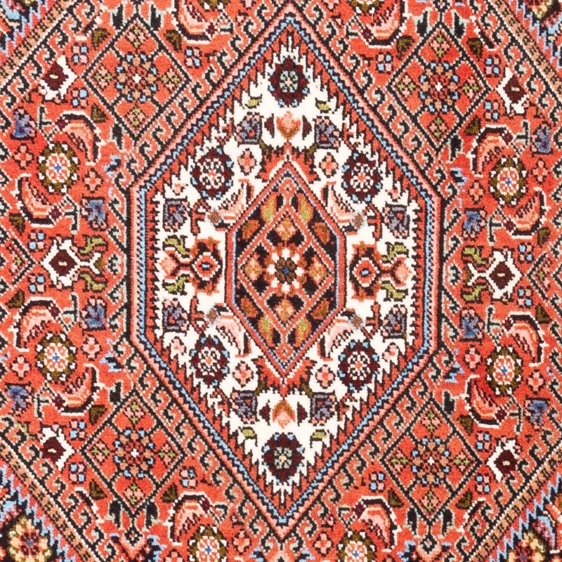 Bidjar - Bukan Teppich 70x105cm - Perserteppich - rot