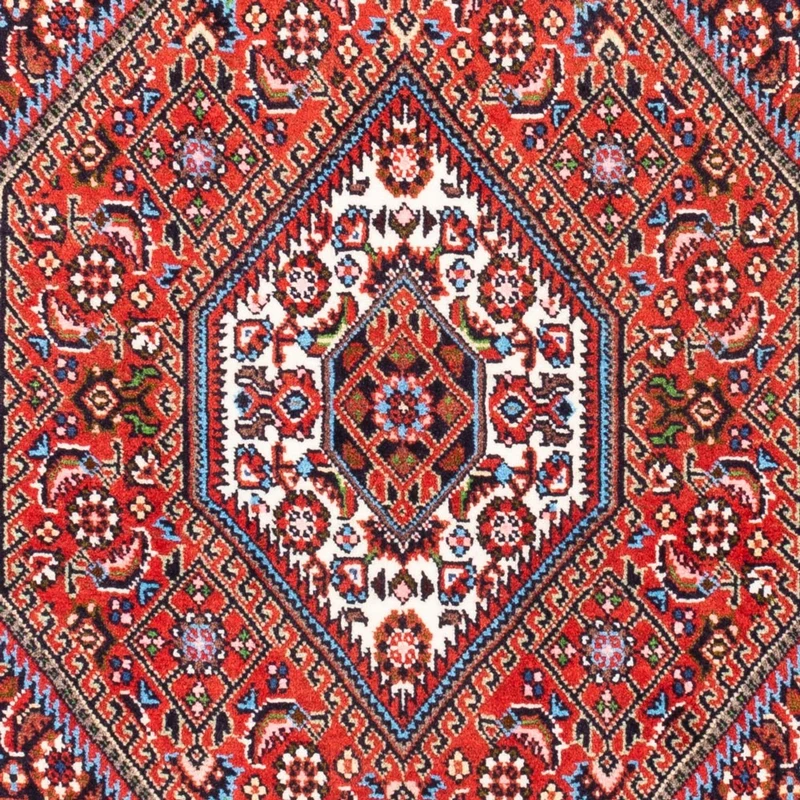Bidjar - Bukan Teppich 70x104cm - Perserteppich - rot