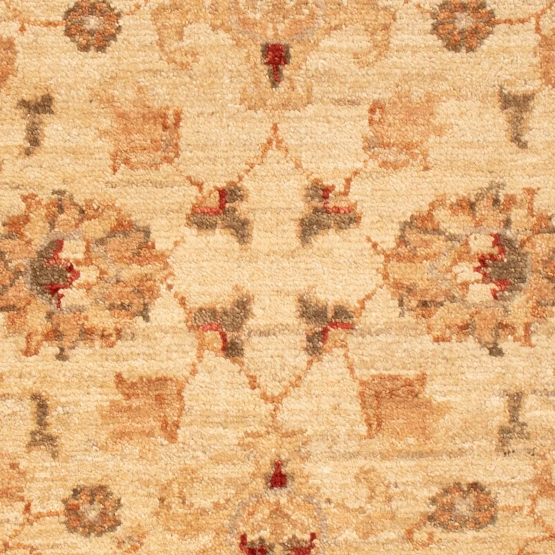 Ziegler Teppich - 61 x 90 cm - beige