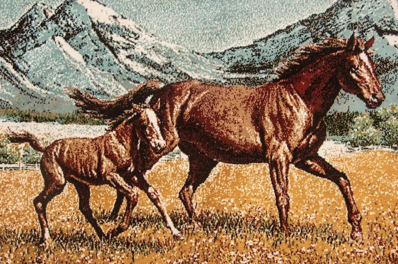 Bild-Teppich 60x85cm - Orientteppich - mehrfarbig