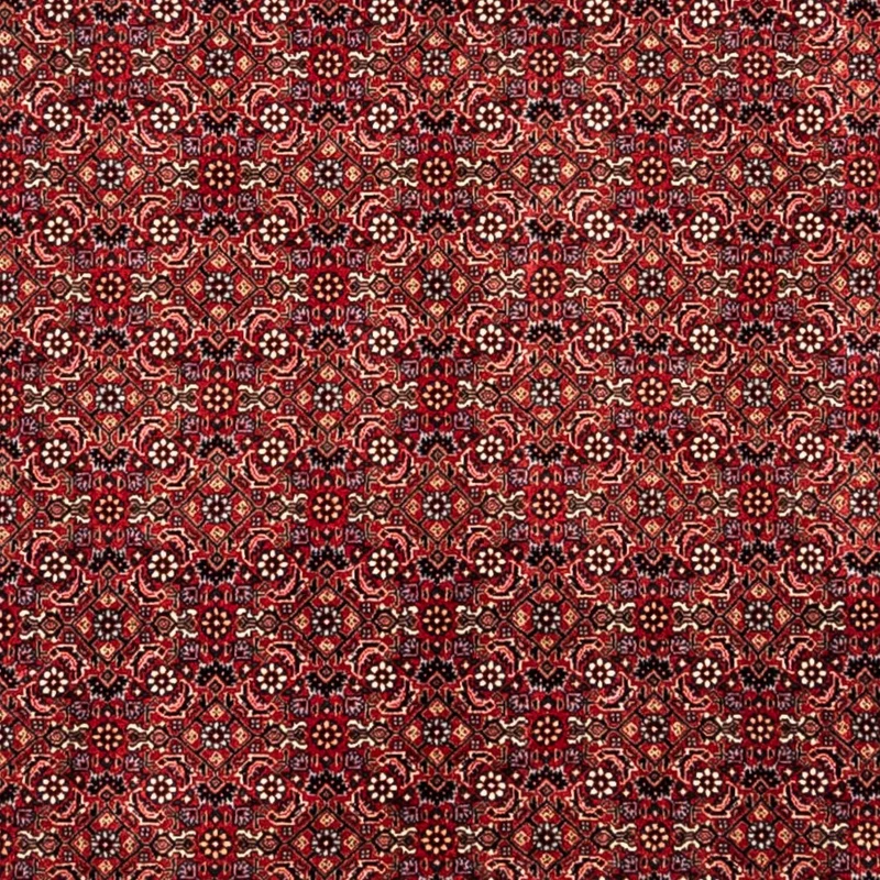 Perserteppich - Bidjar - Royal 252 x 350 cm - rot