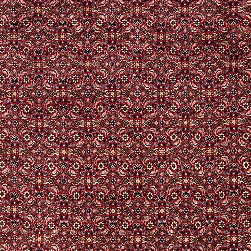 Perserteppich - Bidjar - Royal 250 x 349 cm - rot