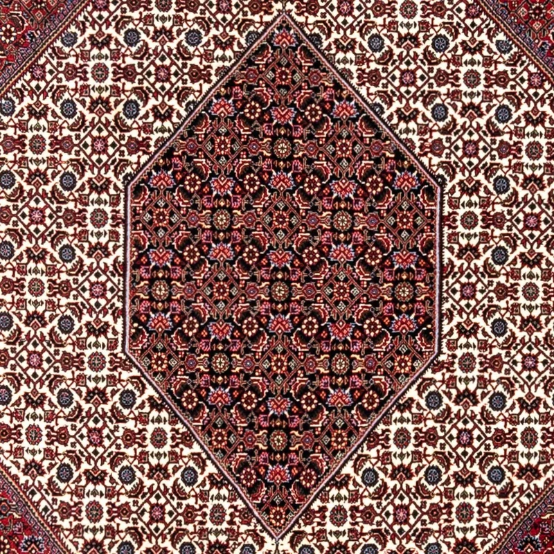 Perserteppich - Bidjar - Royal 254 x 340 cm - rot