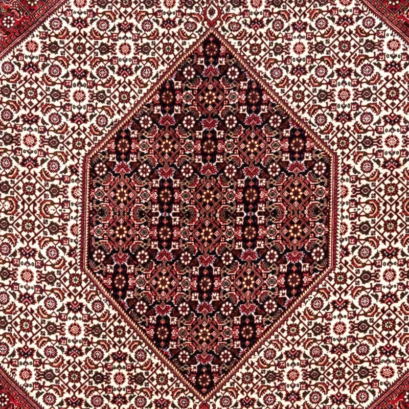 Perserteppich - Bidjar - Royal 253 x 360 cm - rot