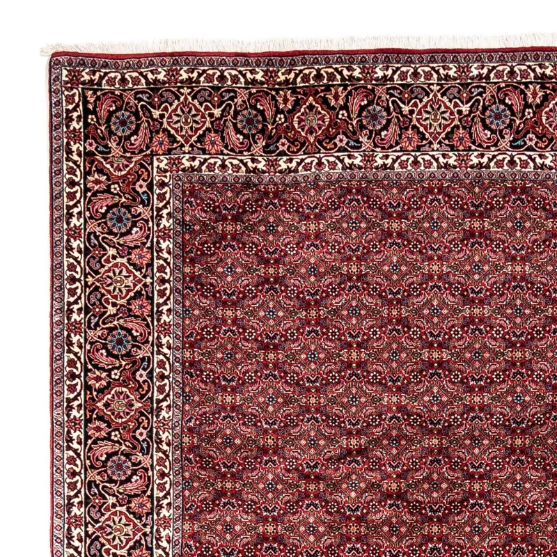 Perserteppich - Bidjar - Royal 252 x 337 cm - rot