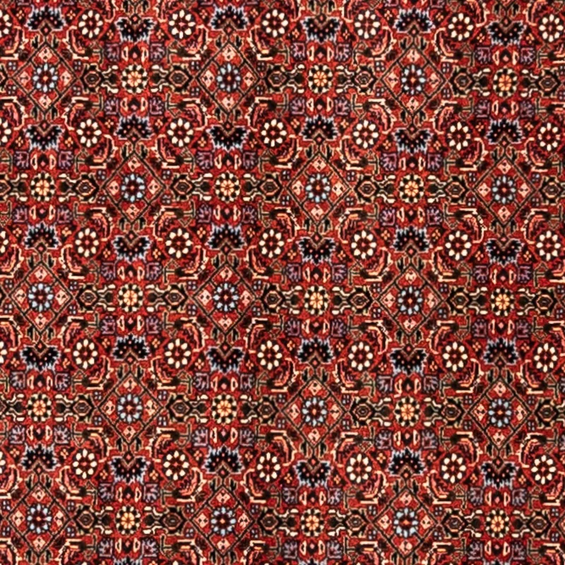 Perserteppich - Bidjar - Royal 248 x 363 cm - rot
