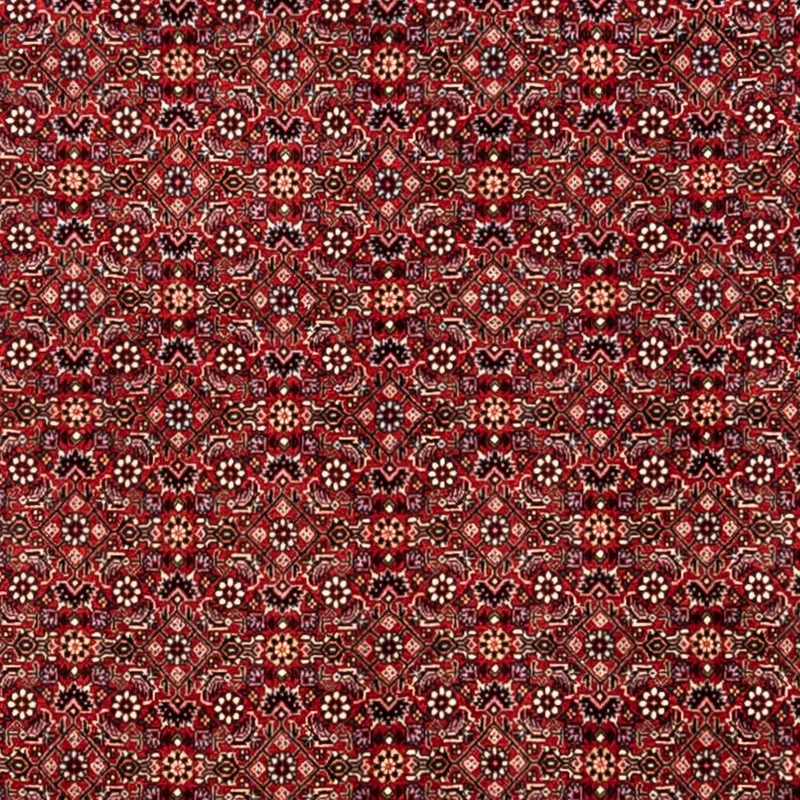 Perserteppich - Bidjar - Royal 248 x 340 cm - rot