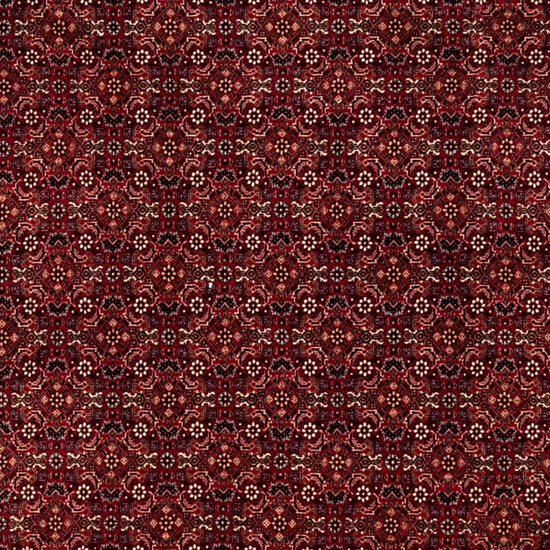 Perserteppich - Bidjar 250 x 350 cm - rot