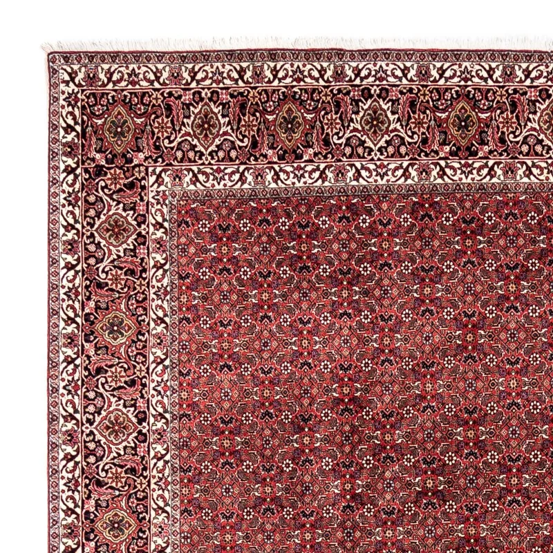 Perserteppich - Bidjar - Royal 253 x 345 cm - rot