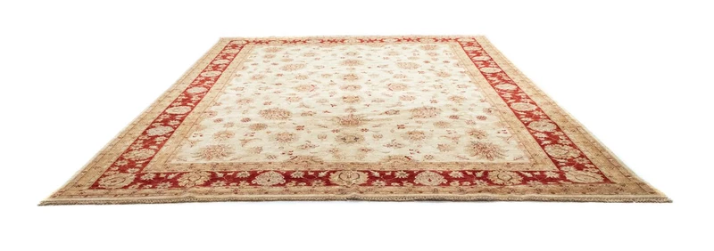 Ziegler Teppich 302 x 391 cm - beige
