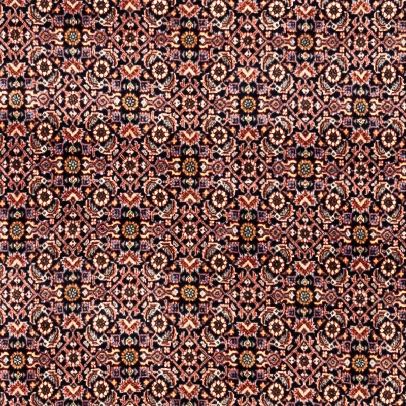 Perserteppich - Bidjar - Royal 259 x 341 cm - rost