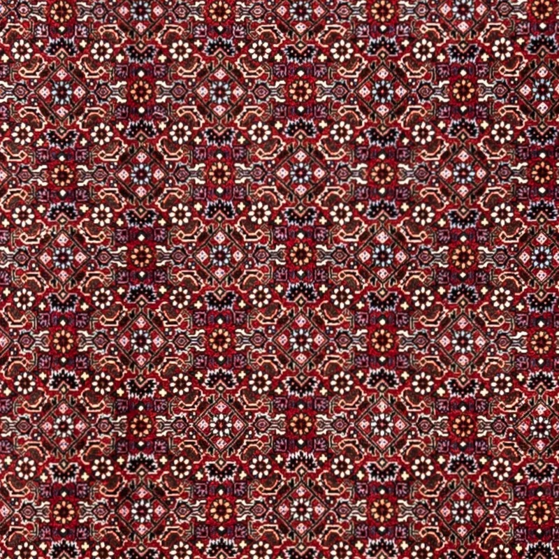 Perserteppich - Bidjar - Royal 252 x 340 cm - rot