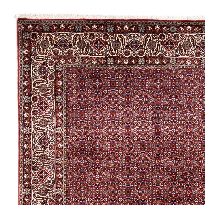 Perserteppich - Bidjar - Royal 252 x 340 cm - rot