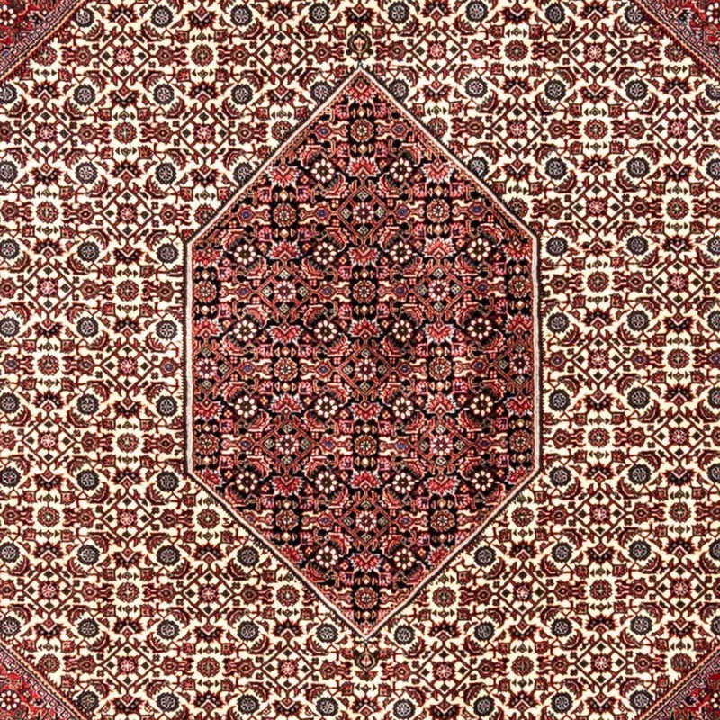 Perserteppich - Bidjar - Royal 253 x 343 cm - rot