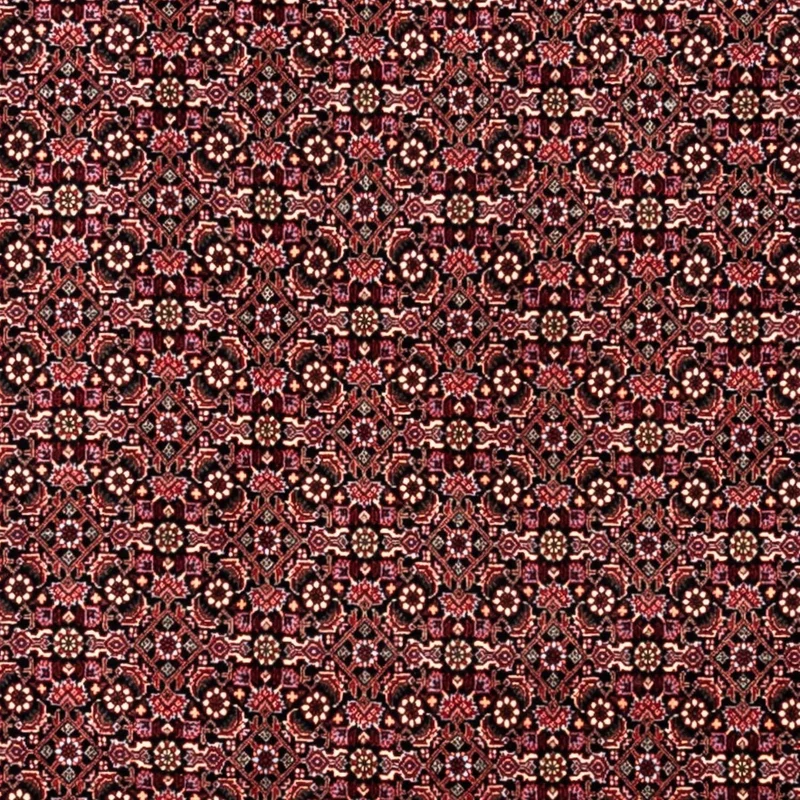 Perserteppich - Bidjar - Royal 250 x 346 cm - dunkelrot