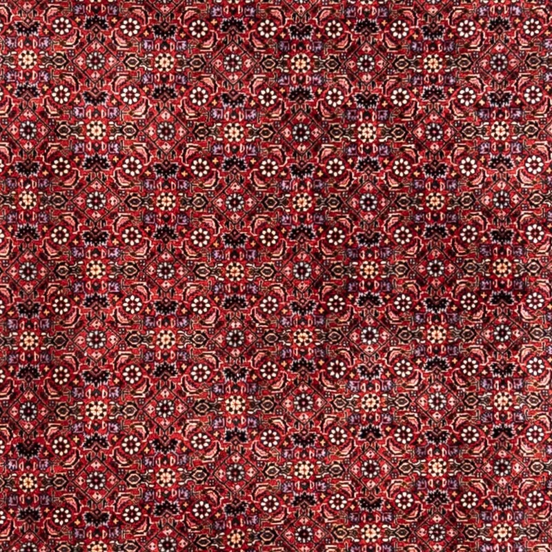 Perserteppich - Bidjar - Royal 250 x 338 cm - rot