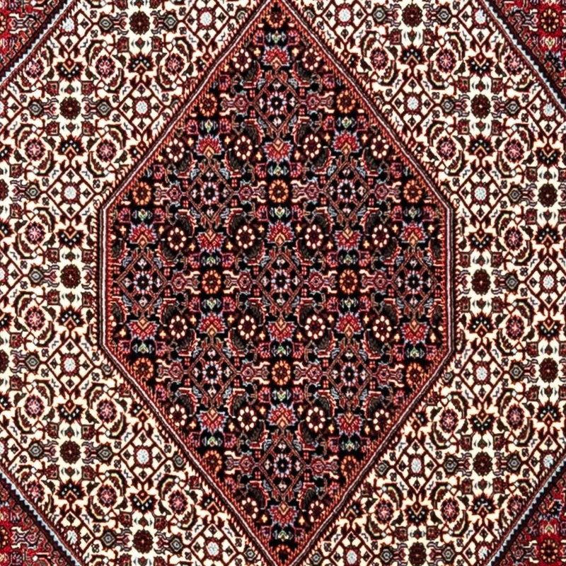 Perserteppich - Bidjar - Royal 249 x 338 cm - rot