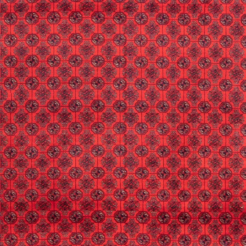 Afghan Teppich - 298 x 387 cm - rot