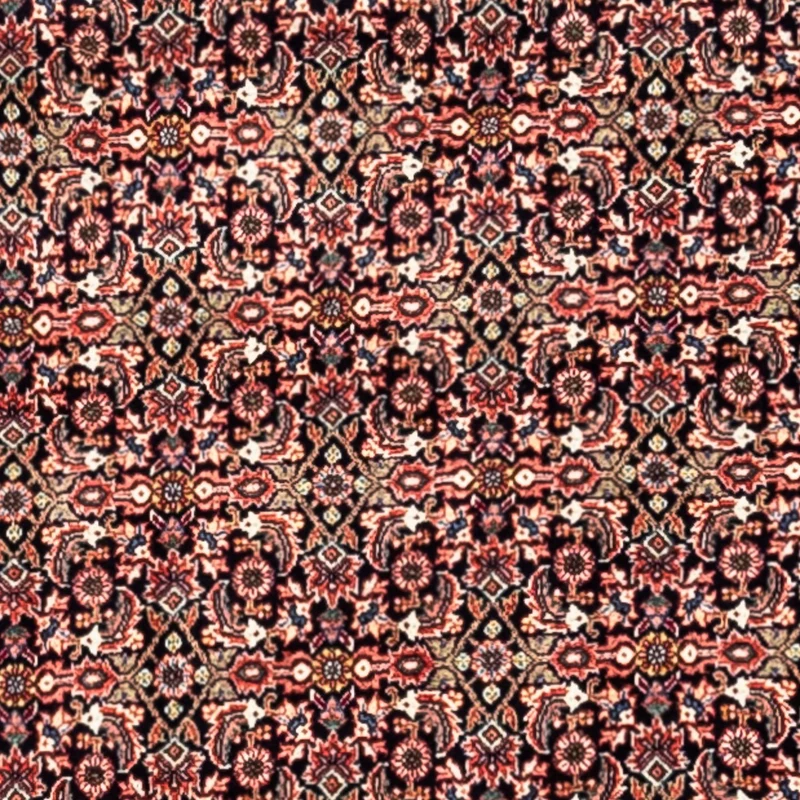 Perserteppich - Bidjar - Royal 248 x 332 cm - rost