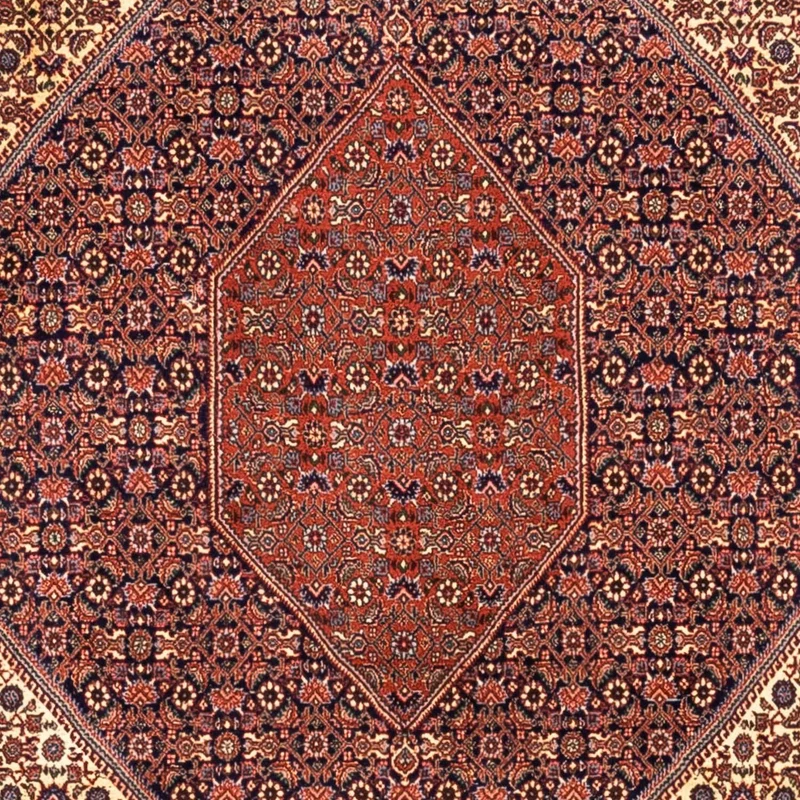 Perserteppich - Bidjar - Royal 254 x 340 cm - rot