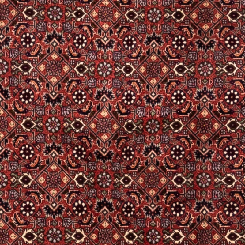 Perserteppich - Bidjar - Royal 200 x 293 cm - rot