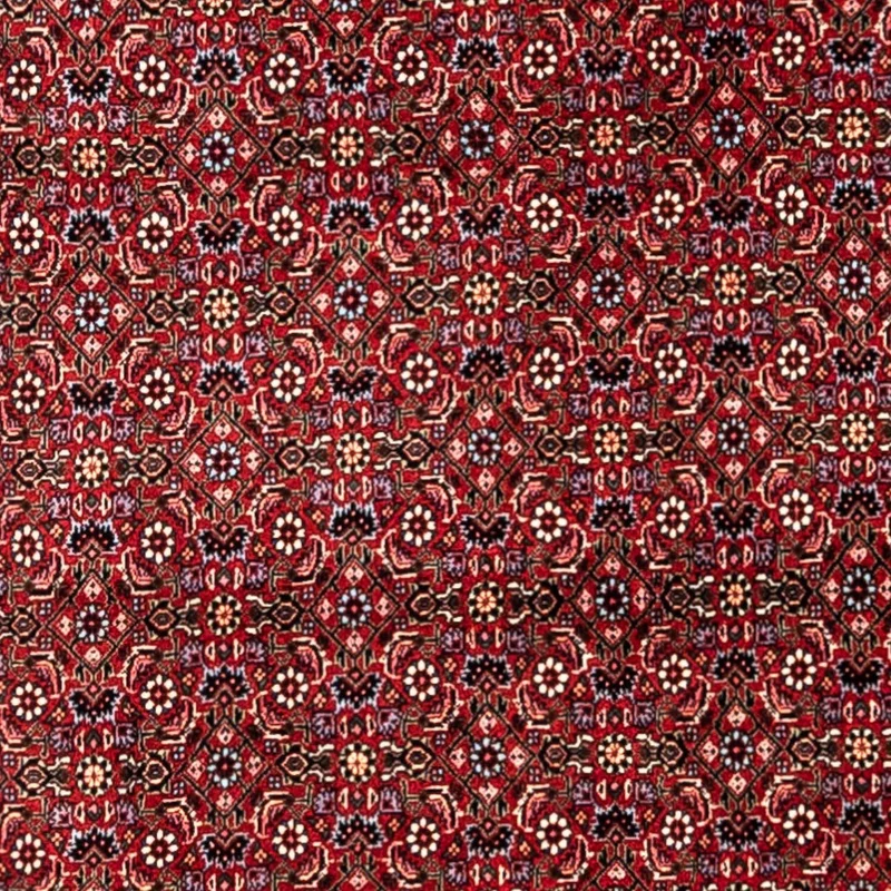 Perserteppich - Bidjar - Royal 254 x 331 cm - rot