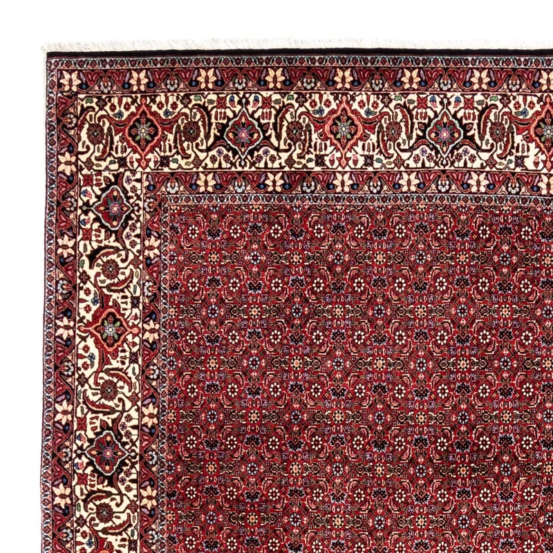 Perserteppich - Bidjar - Royal 254 x 331 cm - rot