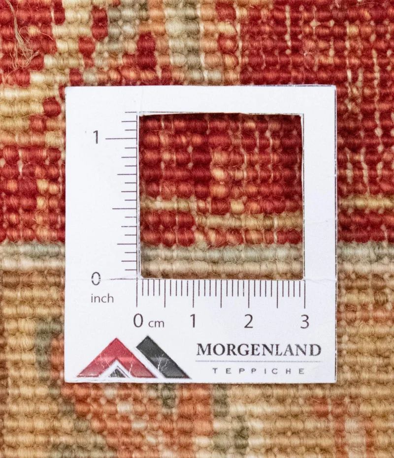 Ziegler Teppich 252 x 302 cm - beige