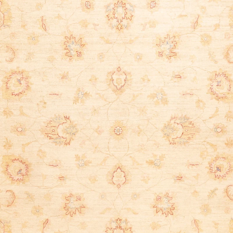Ziegler Teppich - 251 x 338 cm - beige