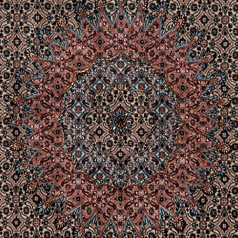 Perserteppich - Classic 252 x 347 cm - hellchoco