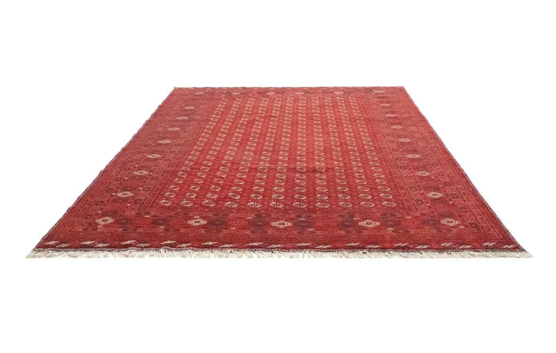 Afghan Teppich - Buchara 243 x 342 cm - dunkelrot
