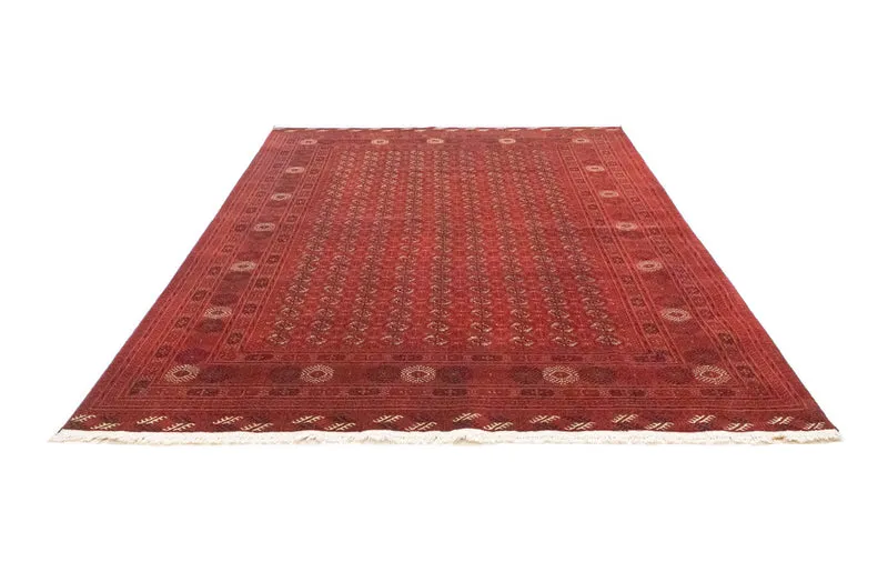Afghan Teppich - Buchara 192 x 295 cm - dunkelbraun