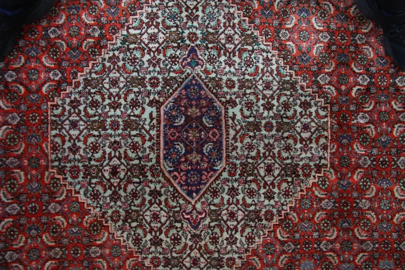 Perserteppich - Bidjar 245 x 335 cm - braun
