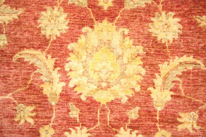 Ziegler Teppich 164 x 239 cm - gold