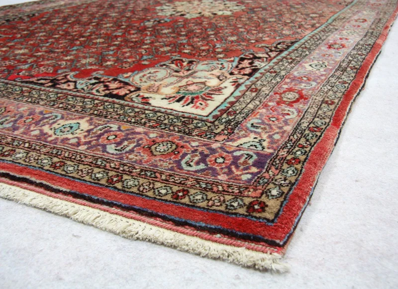 Perserteppich - Bidjar 144 x 245 cm - braun