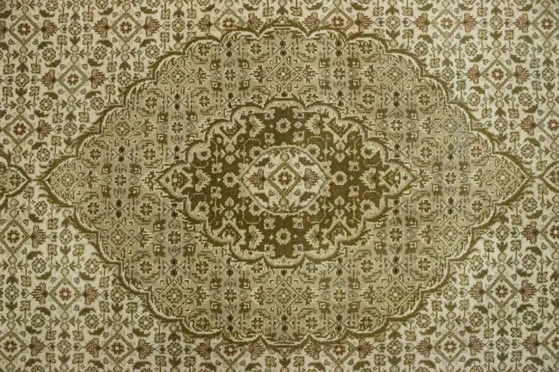 Orientteppich - Bidjar - Indus 201 x 297 cm - beige