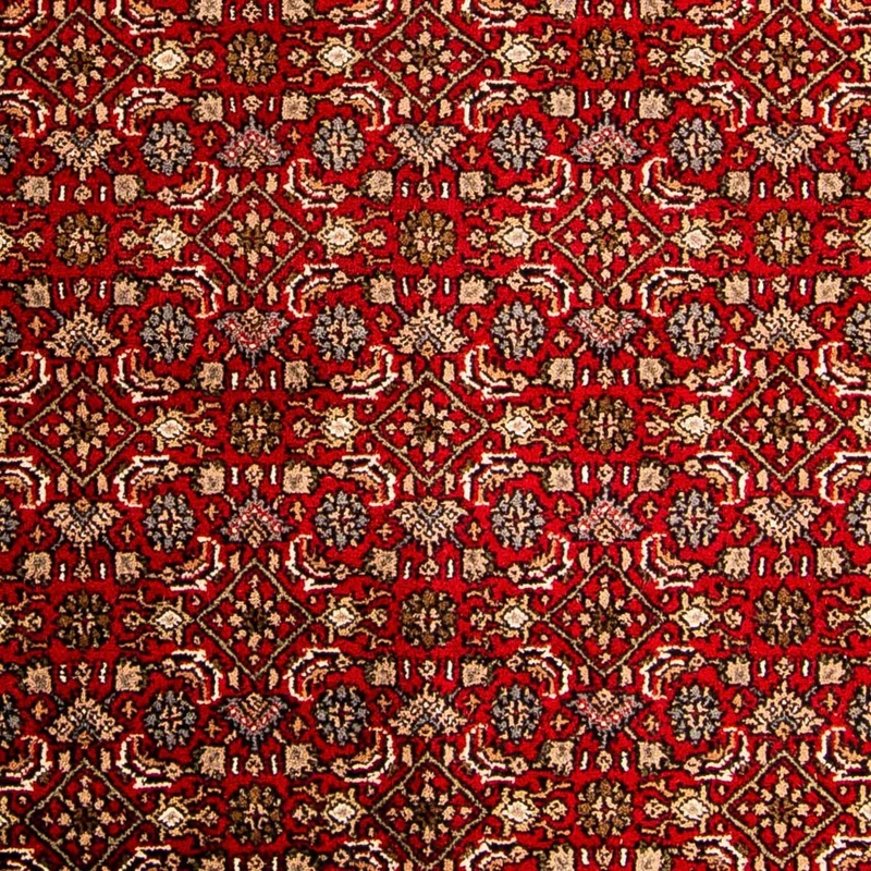 Orientteppich - Bidjar - Indus 200 x 300 cm - rot