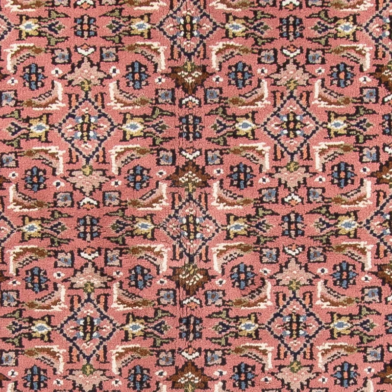 Orientteppich - Bidjar - Indus - 170 x 240 cm - lachs