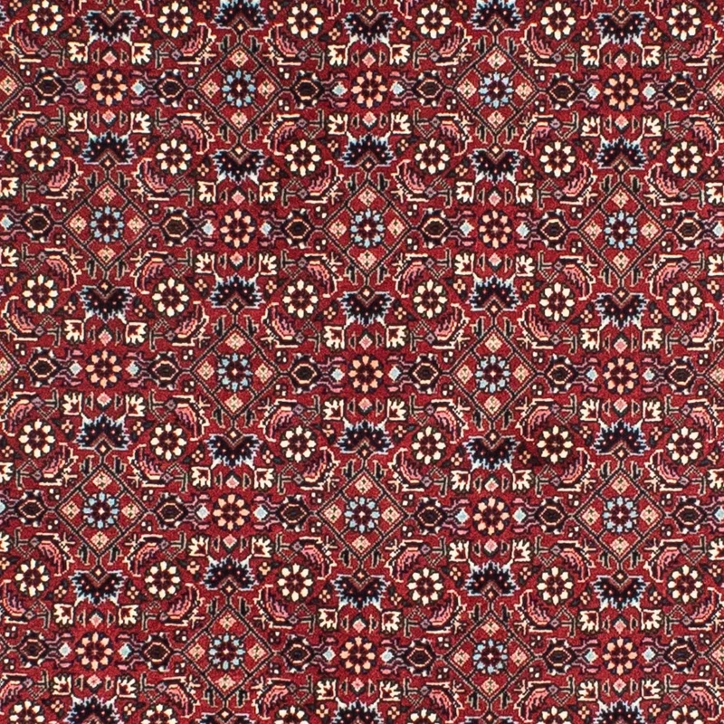 Bidjar Teppich 155x155cm - Perserteppich - dunkelrot