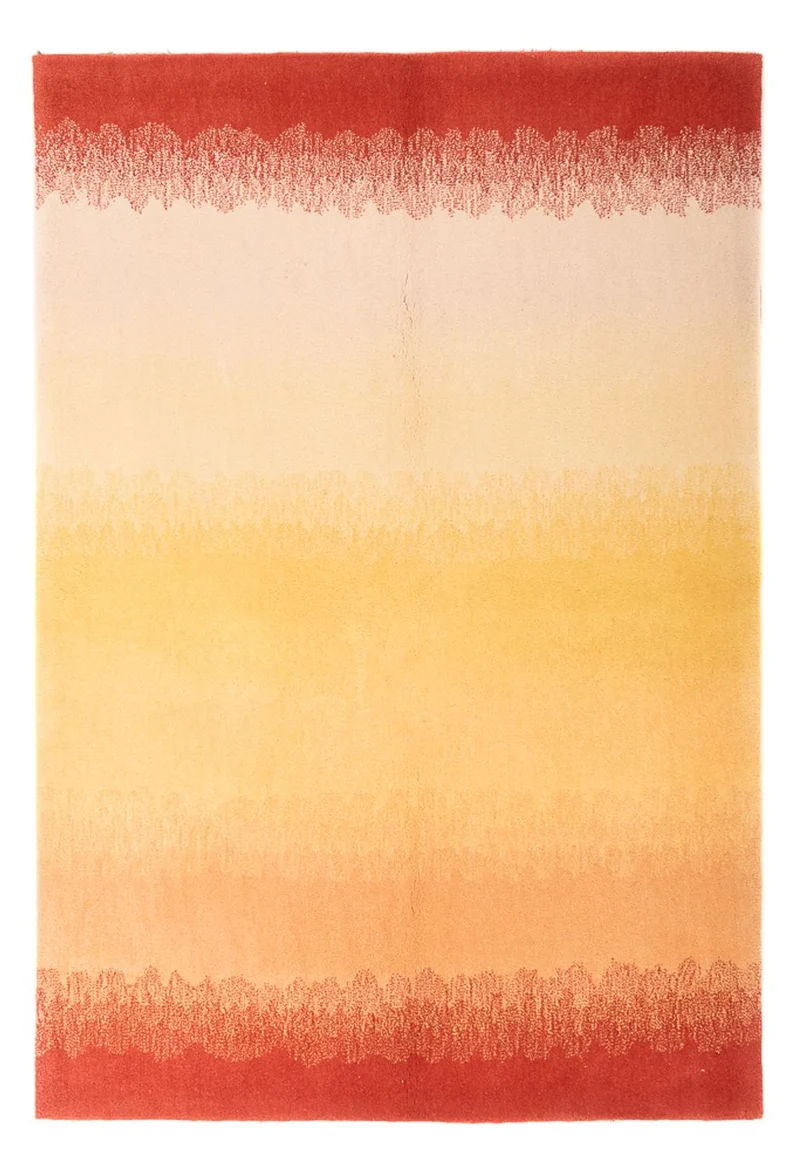 Wollteppich - 115 x 170 cm - mehrfarbig