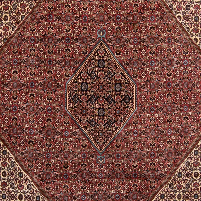 Bidjar Teppich 248x350cm - Perserteppich - braun