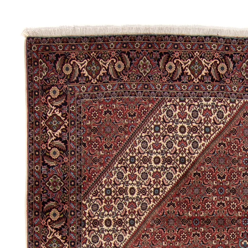 Bidjar Teppich 248x350cm - Perserteppich - braun