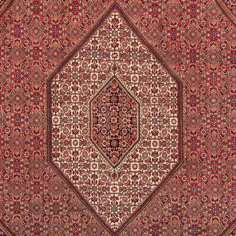 Bidjar Teppich 248x350cm - Perserteppich - hellrot