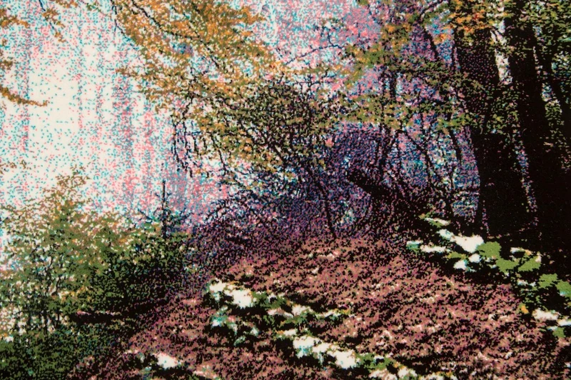 Bild-Teppich 65x115cm - Orientteppich - mehrfarbig